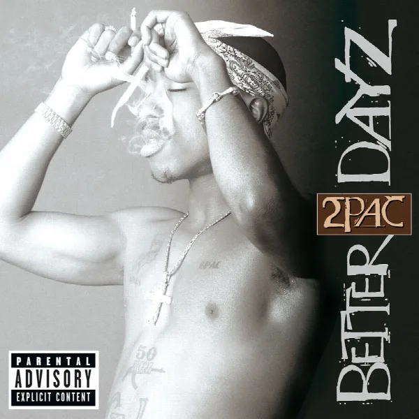Pochette de Better Dayz