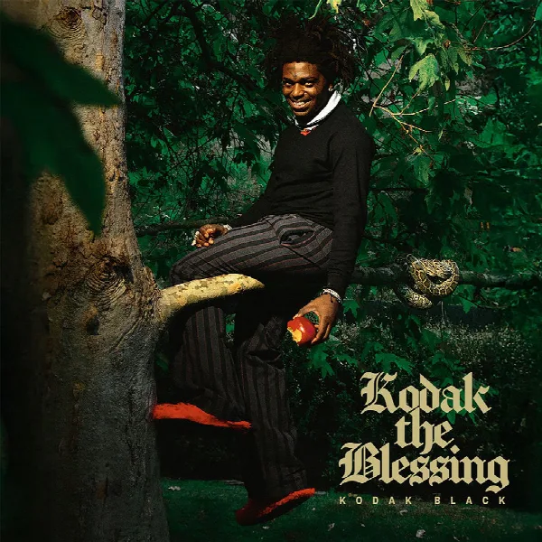 Pochette de Kodak The Blessing
