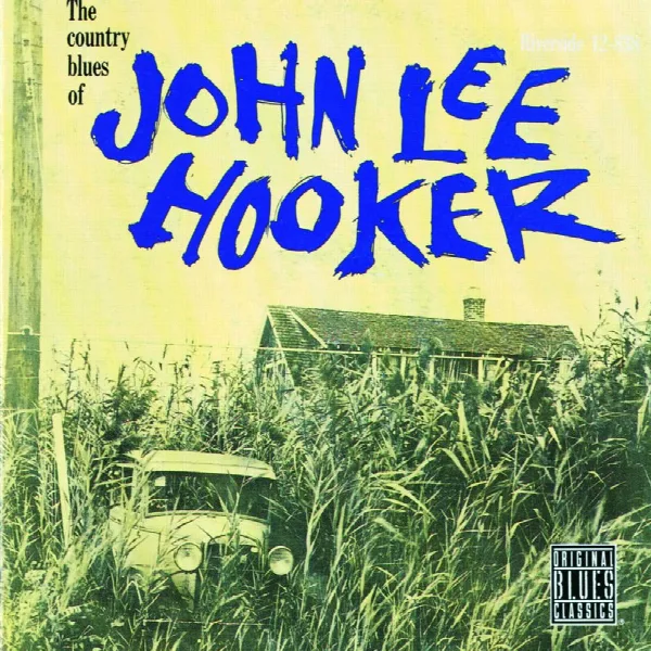 Pochette de The Country Blues Of John Lee Hooker