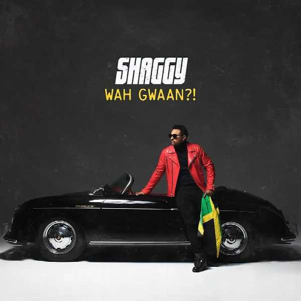 Pochette de Wah Gwaan?!