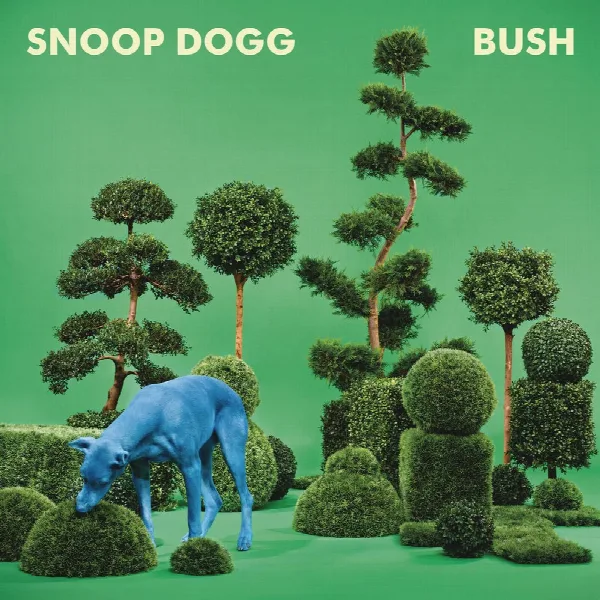 Pochette de BUSH