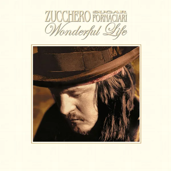 Pochette de Wonderful Life