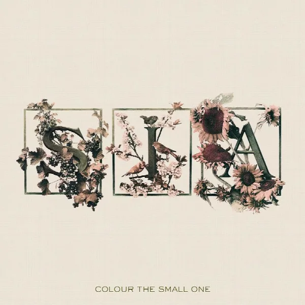 Pochette de Colour The Small One