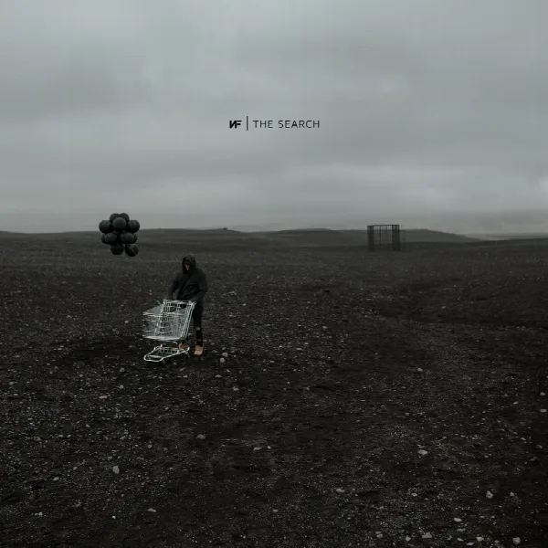 Pochette de The Search