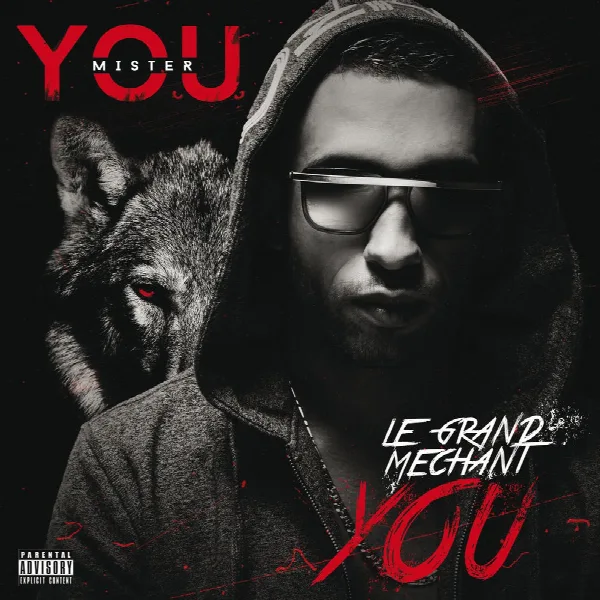 Pochette de Le grand méchant You