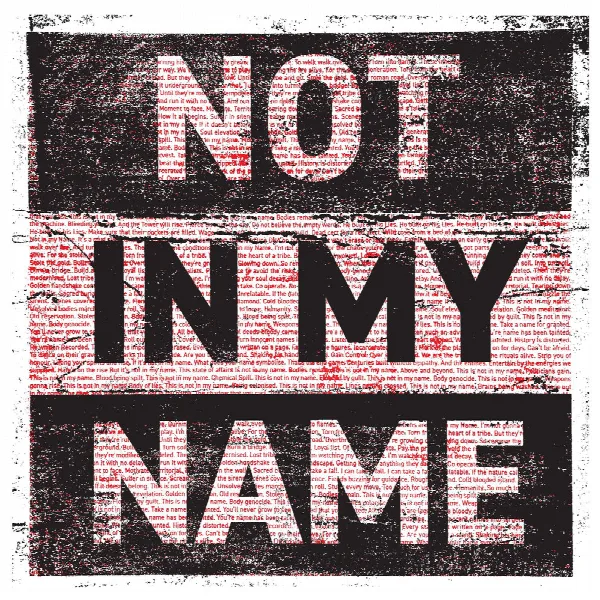 Pochette de Not In My Name