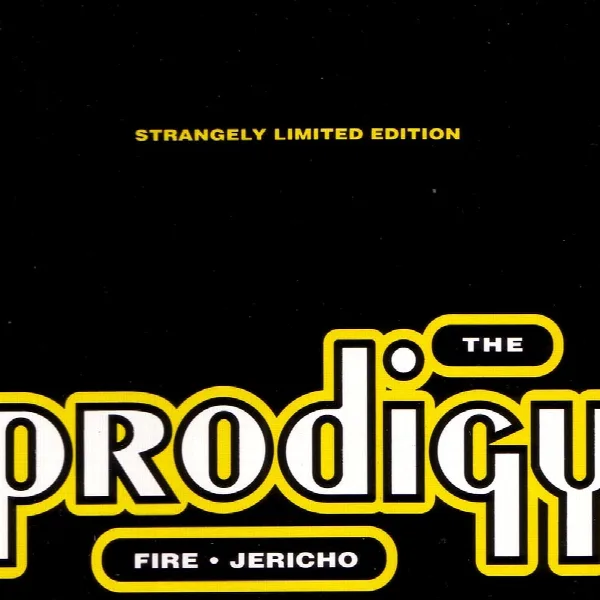 Pochette de Fire