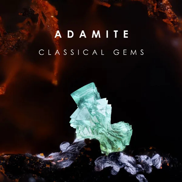 Pochette de "Adamite" - Classical Gems from Bach to Vivaldi