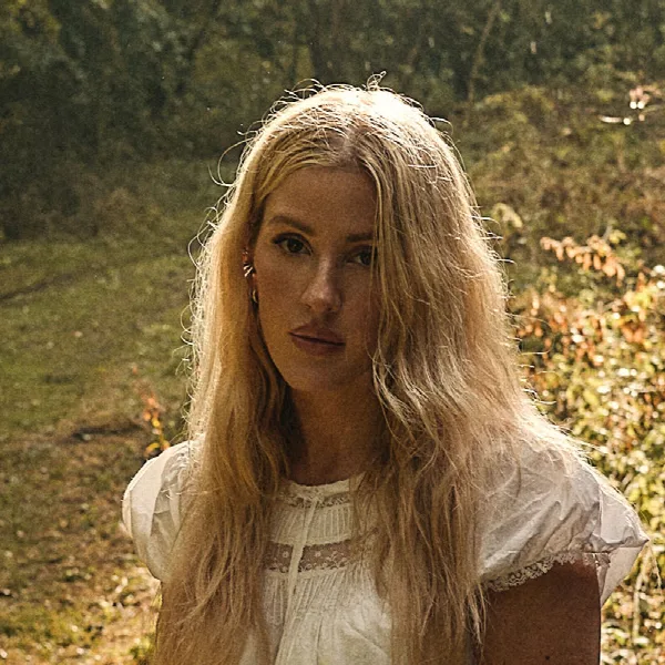 Pochette de We Know Too Much