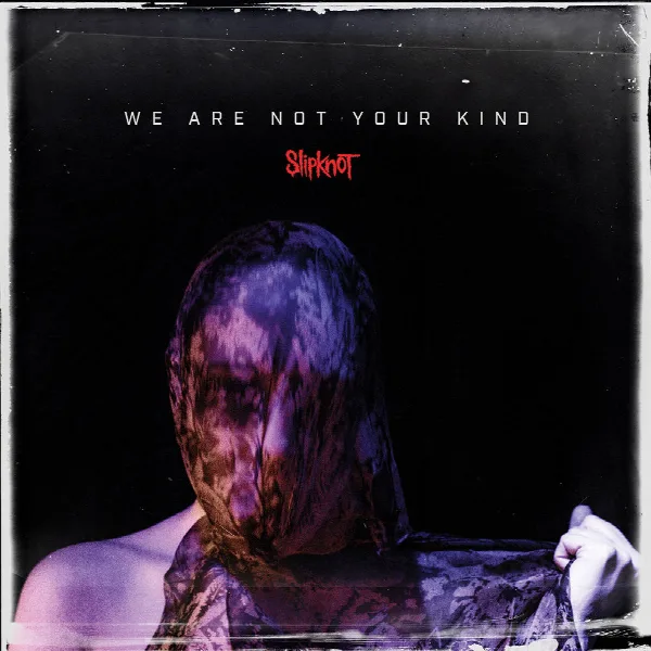 Pochette de We Are Not Your Kind
