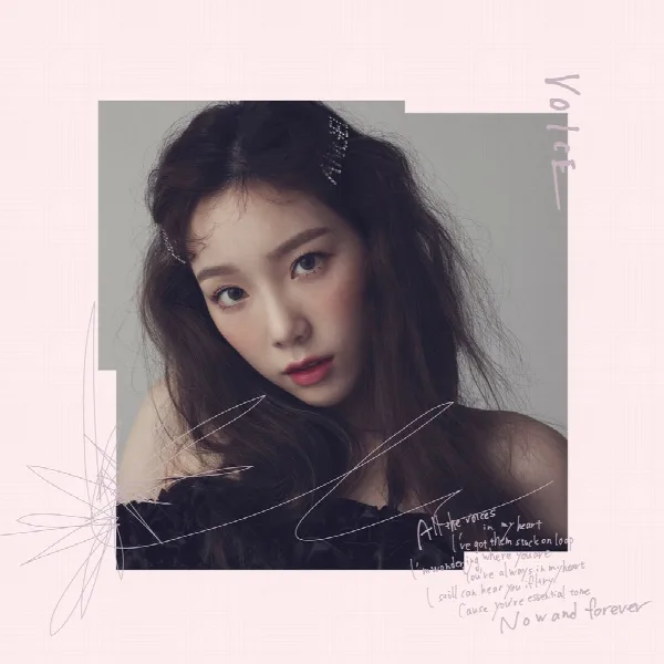 Pochette de VOICE