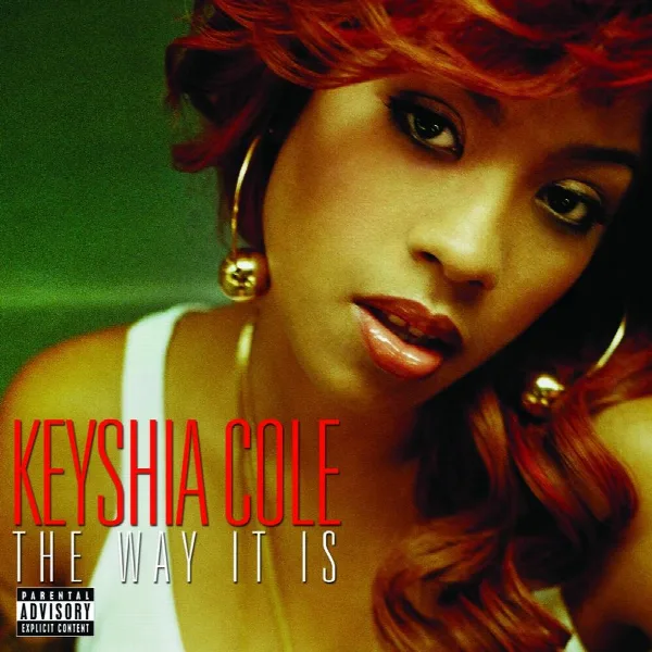 Pochette de The Way It Is