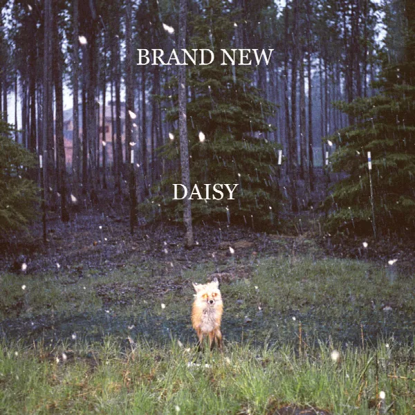 Pochette de Daisy