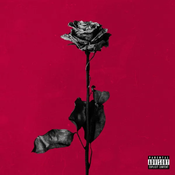 Pochette de deadroses