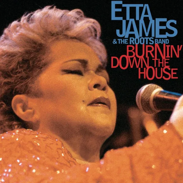 Pochette de Burnin' Down The House