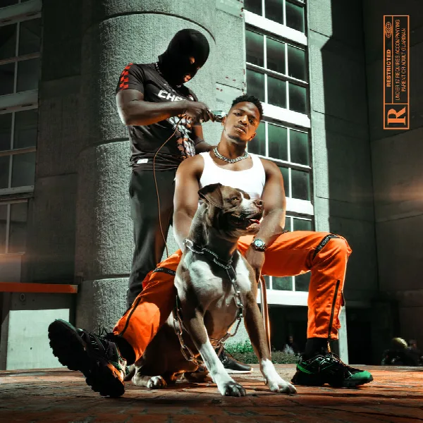 Pochette de Mr Sal