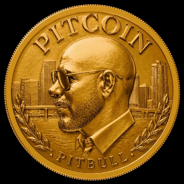 Pochette de PITCOIN