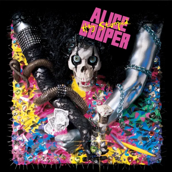 Pochette de Hey Stoopid