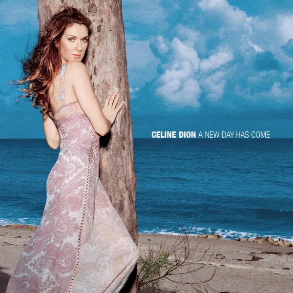 Pochette de A New Day Has Come