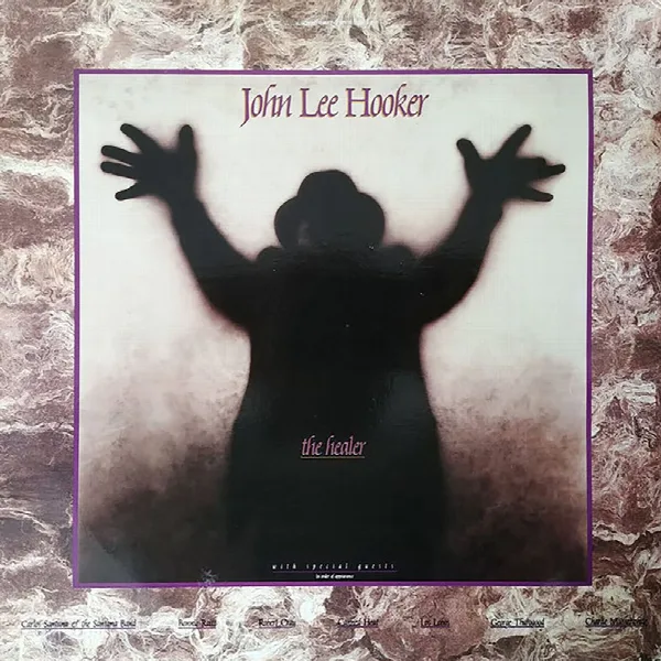 Pochette de The Healer