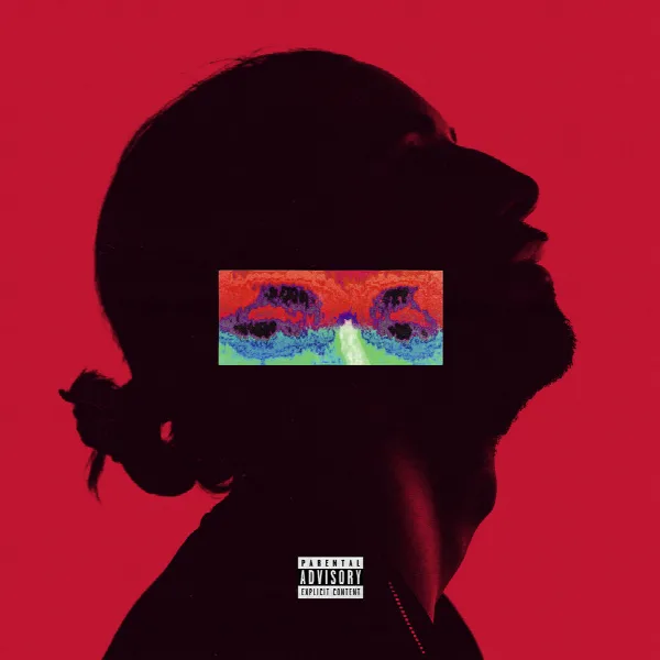Pochette de Amina