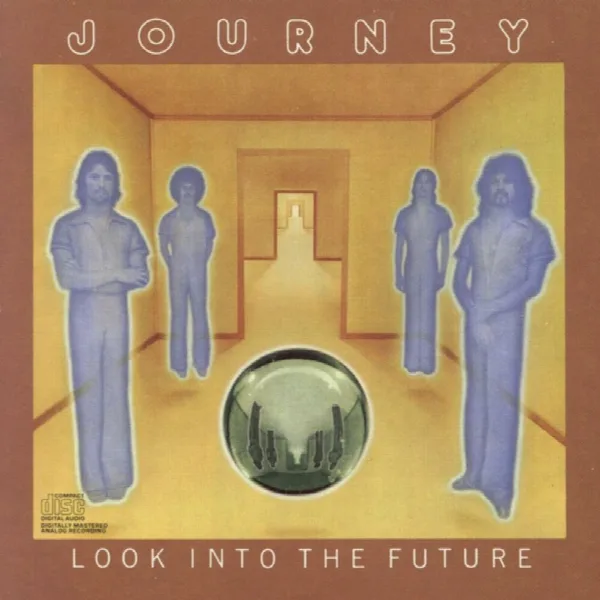 Pochette de Look Into The Future