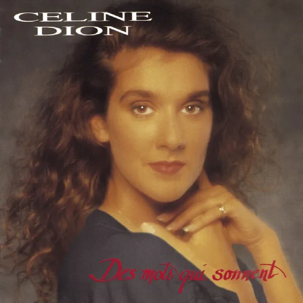 Pochette de Des mots qui sonnent