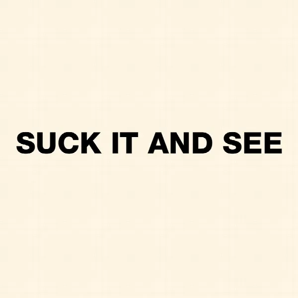 Pochette de Suck It and See