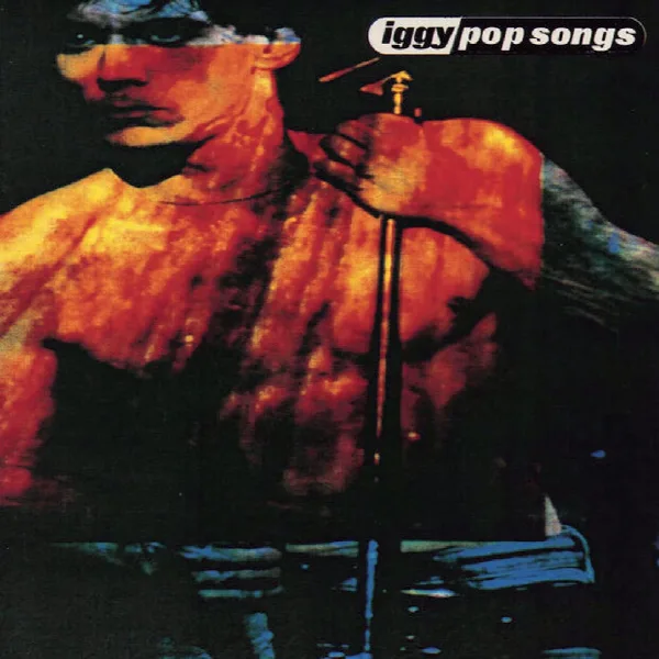Pochette de Pop Songs