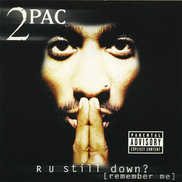 Pochette de R U Still Down? [Remember Me]