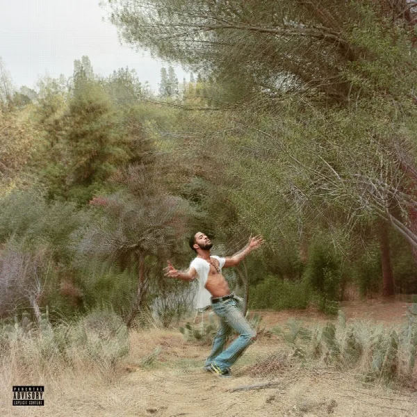 Pochette de Speedin' Bullet 2 Heaven