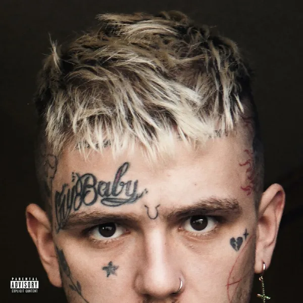 Pochette de EVERYBODY'S EVERYTHING
