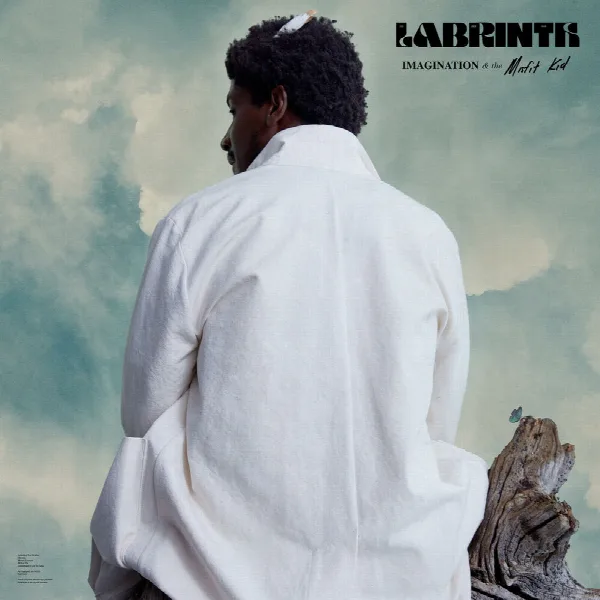 Pochette de Imagination & the Misfit Kid