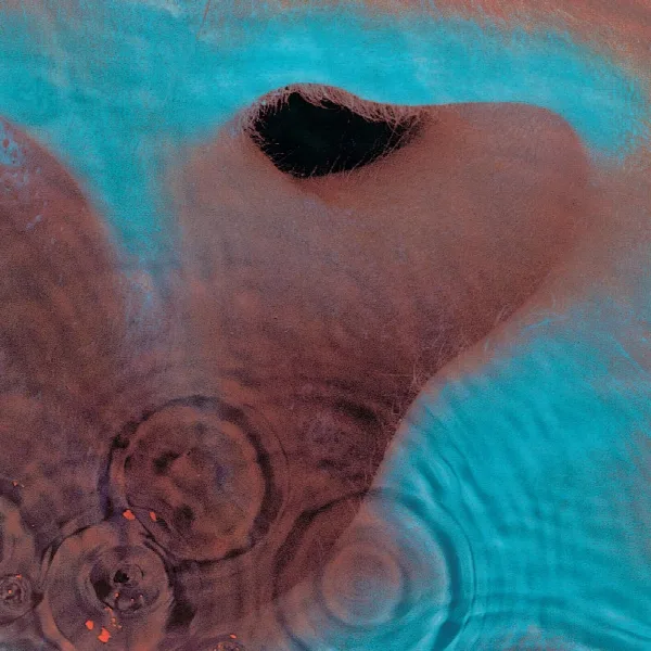 Pochette de Meddle