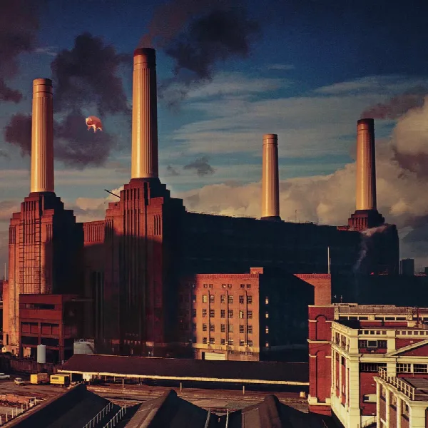 Pochette de Animals
