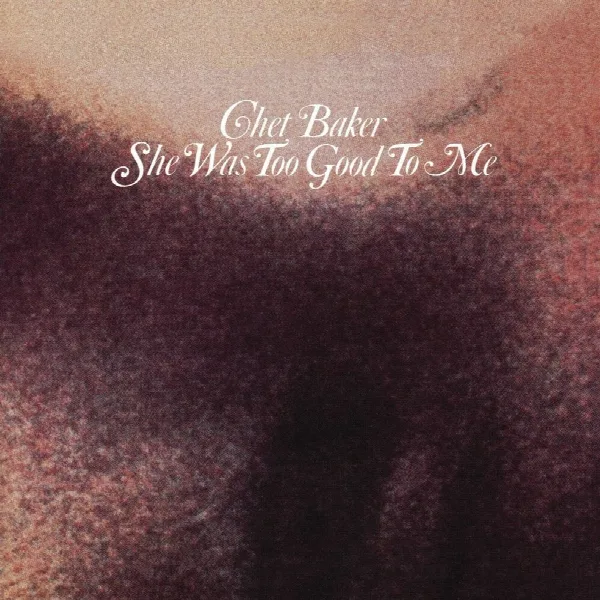 Pochette de She Was Too Good To Me