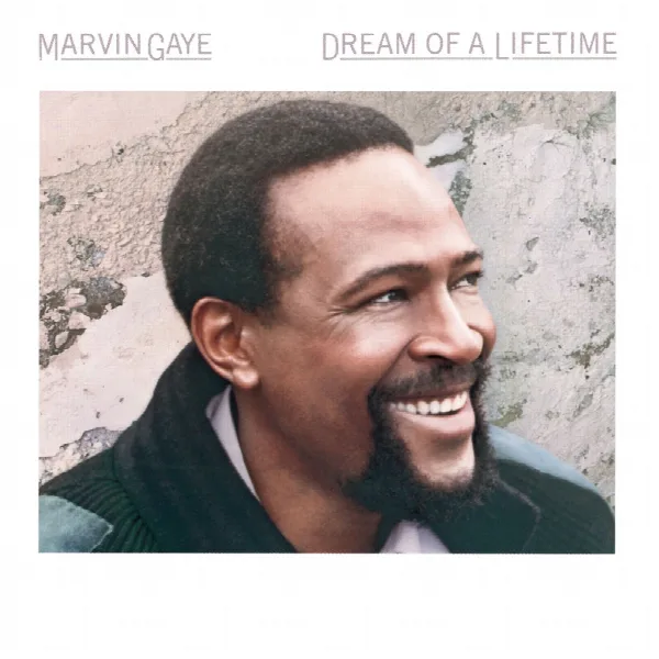 Pochette de Dream Of A Lifetime