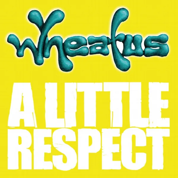 Pochette de A Little Respect