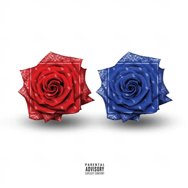 Pochette de The Documentary 2 + 2.5 (Collector's Edition)