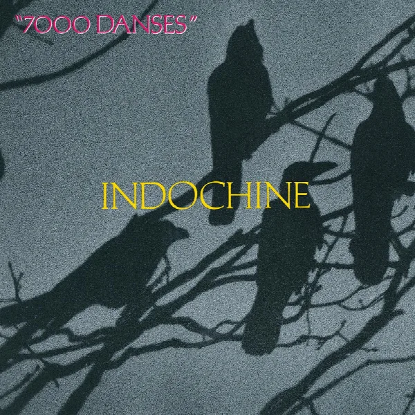 Pochette de 7000 danses