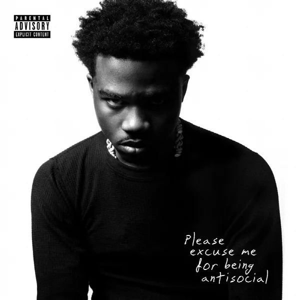 Pochette de Please Excuse Me for Being Antisocial
