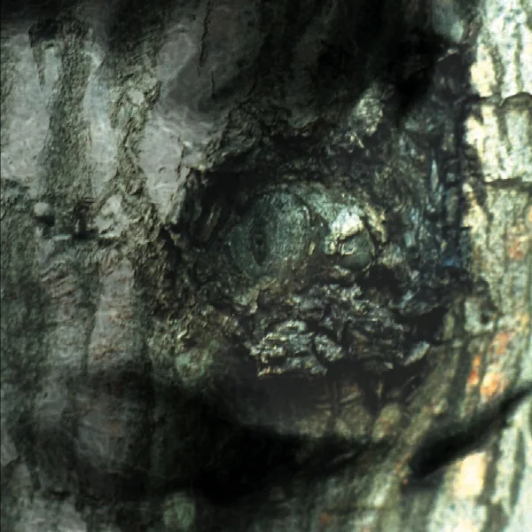 Pochette de The Waltz of the Monsters