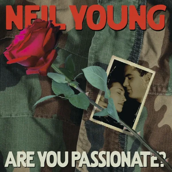 Pochette de Are You Passionate?