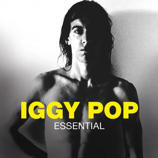 Pochette de Essential