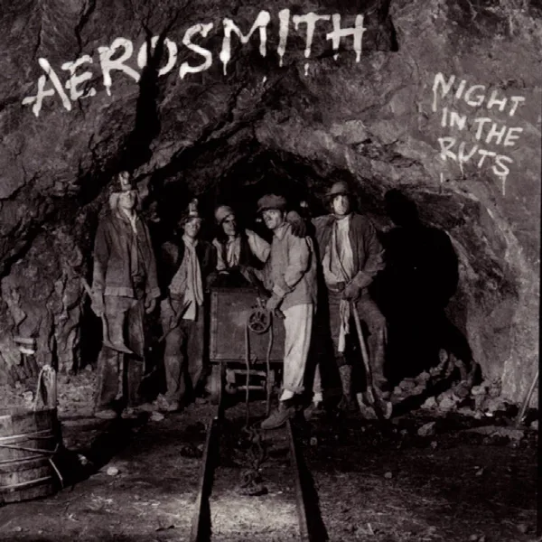 Pochette de Night In The Ruts