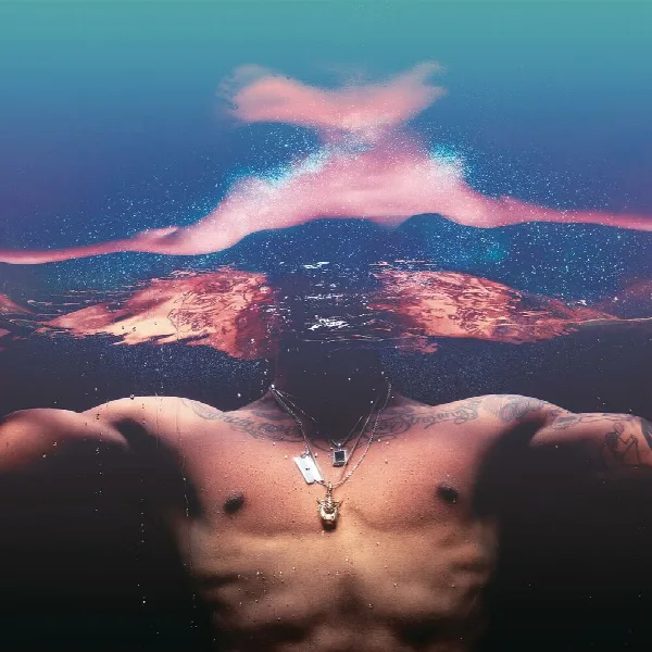 Pochette de Rogue Waves