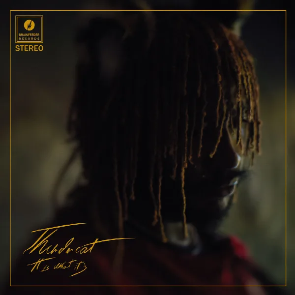 Pochette de It Is What It Is