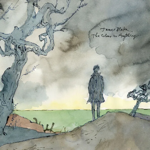 Pochette de The Colour In Anything
