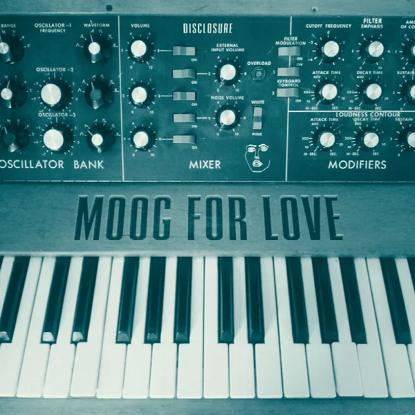 Pochette de Moog For Love