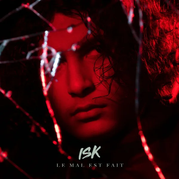 Pochette de Le mal est fait